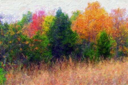 Autumn Landscape by David Wagner