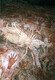 Australian Rock Art with Hands and Animals