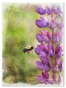 Bees and Purple Flowers